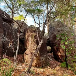Dural Regional Park - Epping