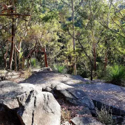 Dural Regional Park - Epping