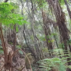 Dural Regional Park - Epping