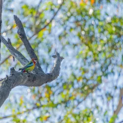 Dural Regional Park - Epping