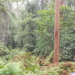 Dural Regional Park - Epping