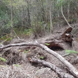 Dural Regional Park - Epping