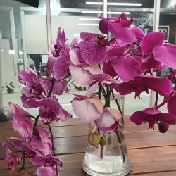 Epping Markets - Epping