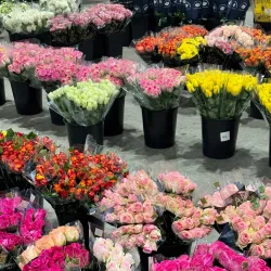 Epping Markets - Epping