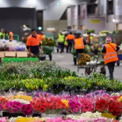 Epping Markets - Epping