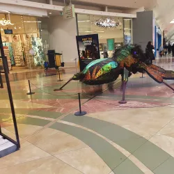 Epping Plaza Shopping Centre - Epping