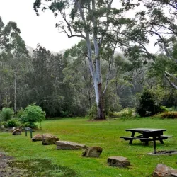 Lane Cove National Park - Epping