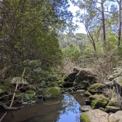 Lane Cove National Park - Epping