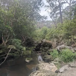 Lane Cove National Park - Epping