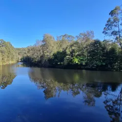 Lane Cove National Park - Epping