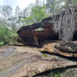 Lane Cove National Park - Epping