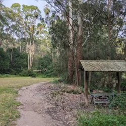 Lane Cove National Park - Epping