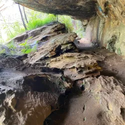 Lane Cove National Park - Epping