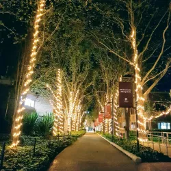 Macquarie University - Epping