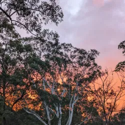 Macquarie University - Epping