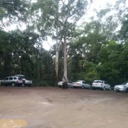 Thornleigh Oval - Epping