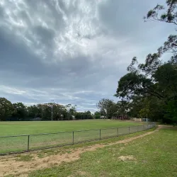 Thornleigh Oval - Epping