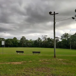 Thornleigh Oval - Epping