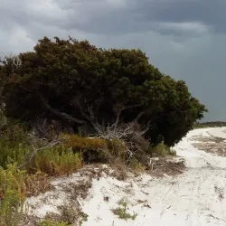 Duke of Orleans Bay - Esperance