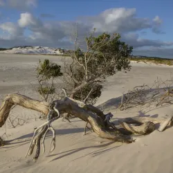 Duke of Orleans Bay - Esperance