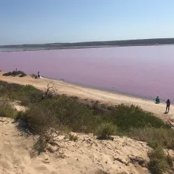 Pink Lake (Lake Hillier) - Esperance