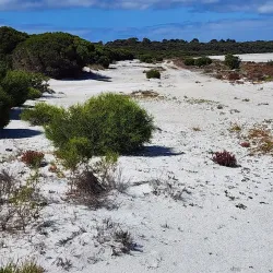 Pink Lake Lookout - Esperance