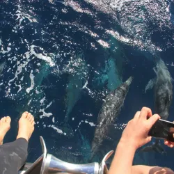 Ningaloo Reef - Exmouth