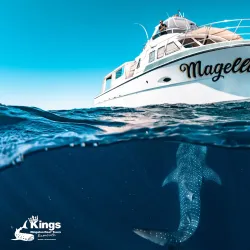 Ningaloo Reef - Exmouth