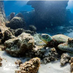 Ningaloo Reef - Exmouth