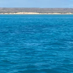 Ningaloo Reef - Exmouth