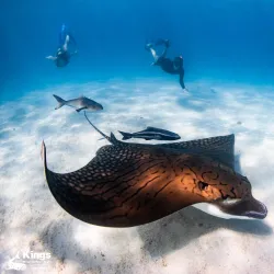 Ningaloo Reef - Exmouth