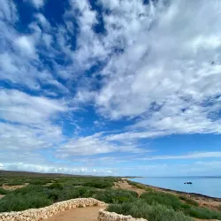 Oyster Stacks - Exmouth