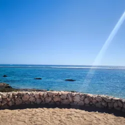 Oyster Stacks - Exmouth