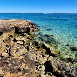 Oyster Stacks - Exmouth