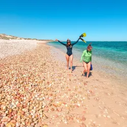 Oyster Stacks - Exmouth