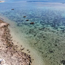 Oyster Stacks - Exmouth