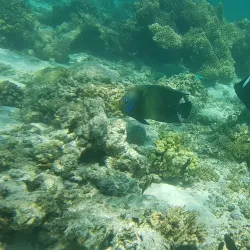 Turquoise Bay - Exmouth