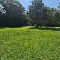 Bland Creek Reserve - Forbes