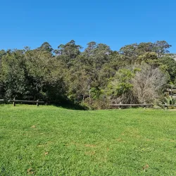 Bland Creek Reserve - Forbes