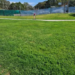 Bland Creek Reserve - Forbes