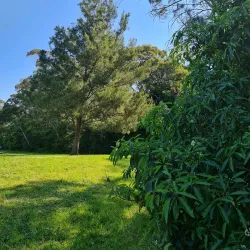 Bland Creek Reserve - Forbes