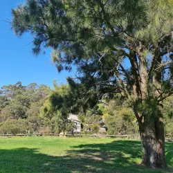 Bland Creek Reserve - Forbes