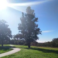 Bland Creek Reserve - Forbes