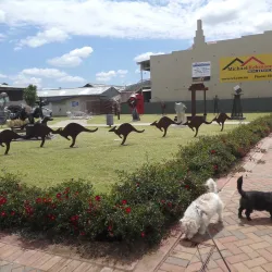 Forbes Art Gallery - Forbes