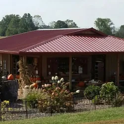 Forbes Farmers Market - Forbes