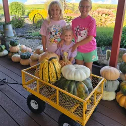 Forbes Farmers Market - Forbes