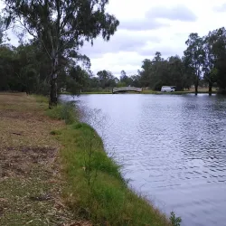 Forbes Showground - Forbes