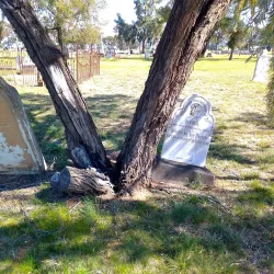 Forbes War Memorial - Forbes