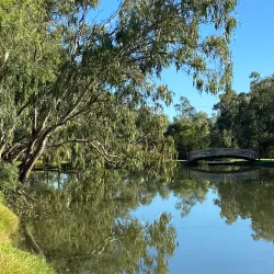 Lake Forbes - Forbes