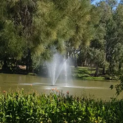 Lake Forbes - Forbes